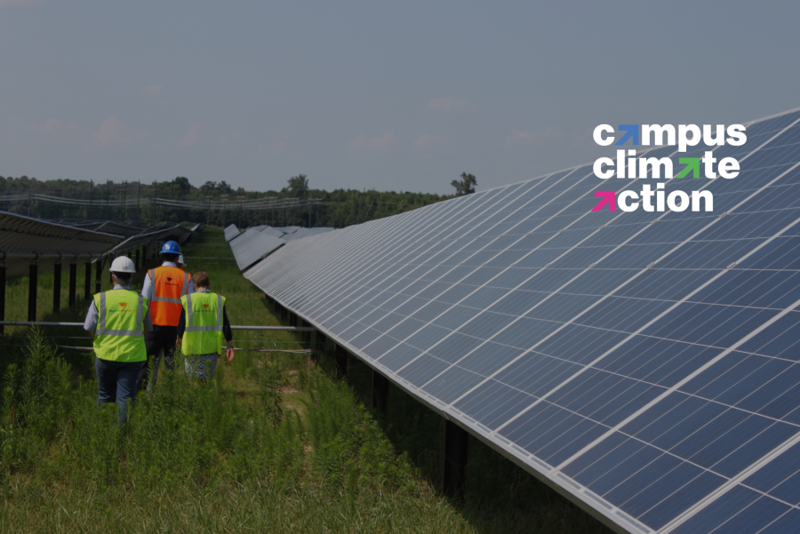 people walk in front of large solar array